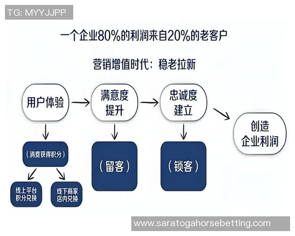 探索订阅制博彩服务的魅力：月费获取专业工具与数据分析